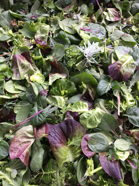 Spring Salad CSA Farmshare 2023-SPRING SEASON ONLY- vegetables only 6 weeks